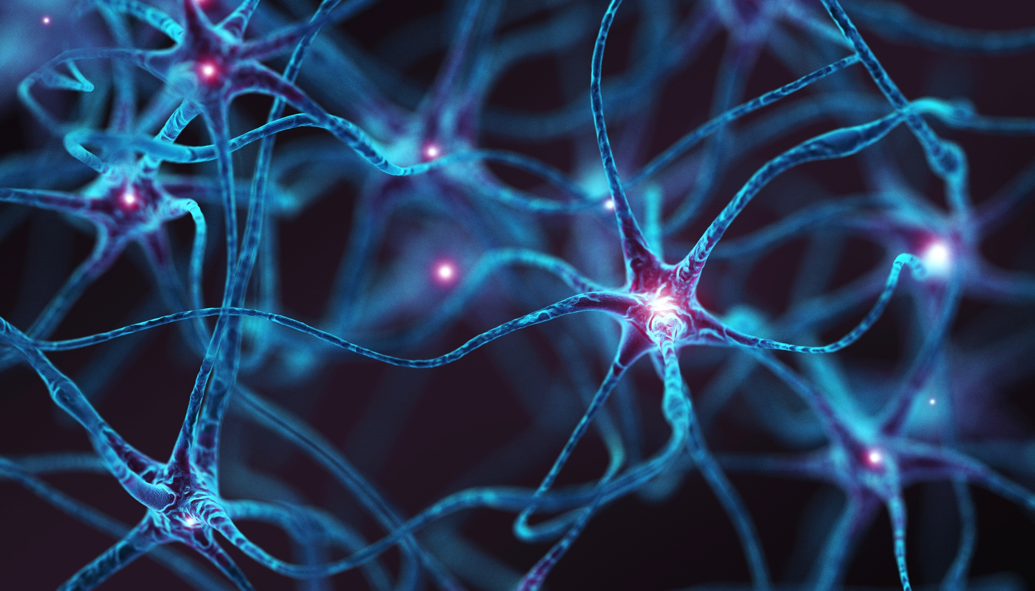 Spiking Neural Networks Benchmark